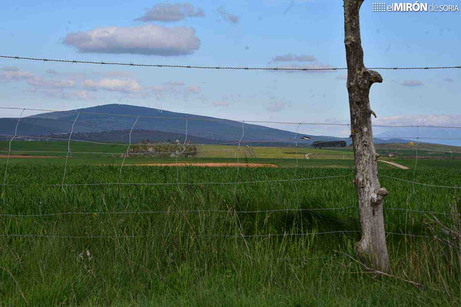 Soriactiva informa de principales reducciones fiscales para agricultores y ganaderos
