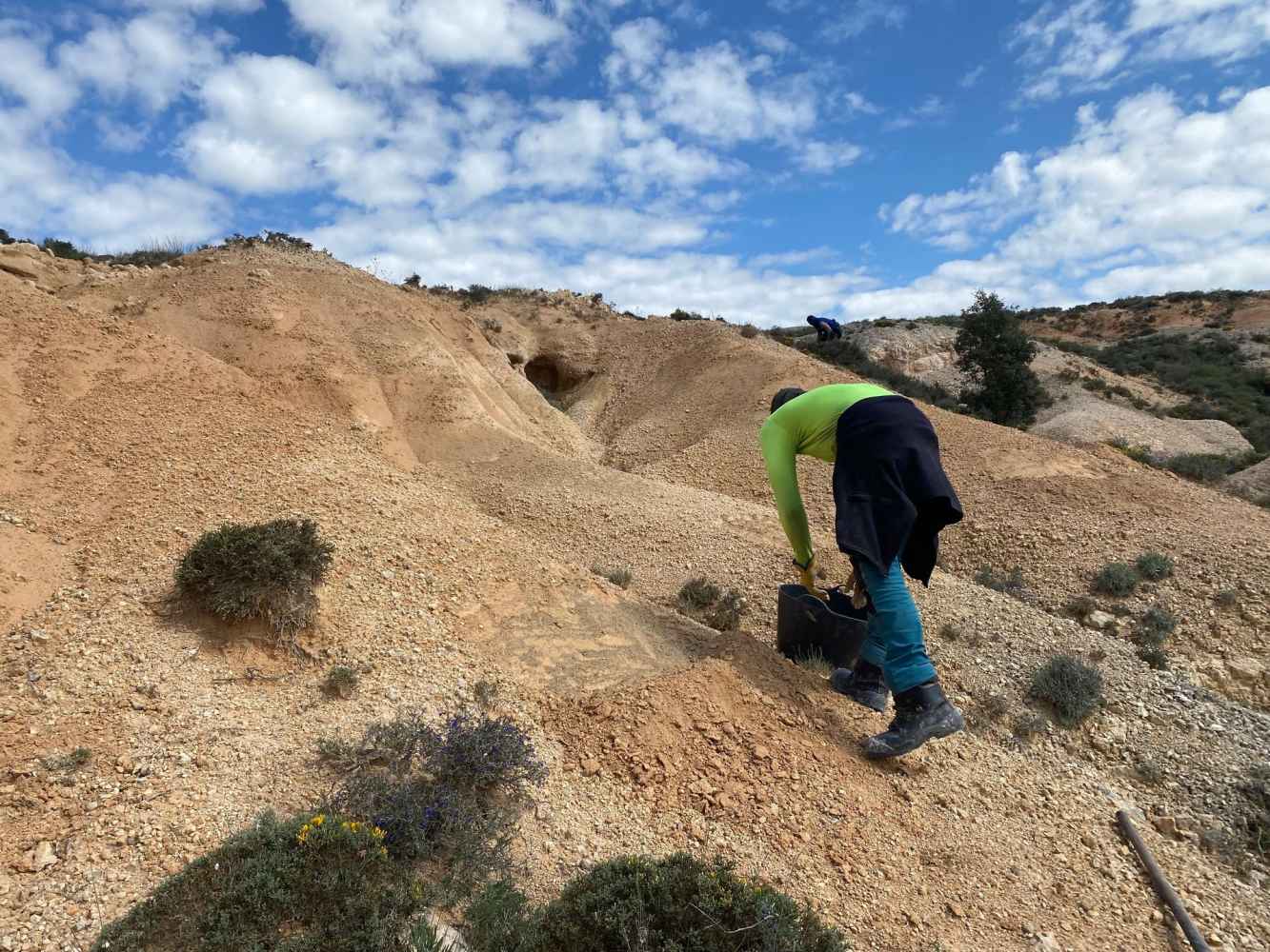ASFOSO comienza repoblación forestal con herbáceas locales en proyecto FLoRE