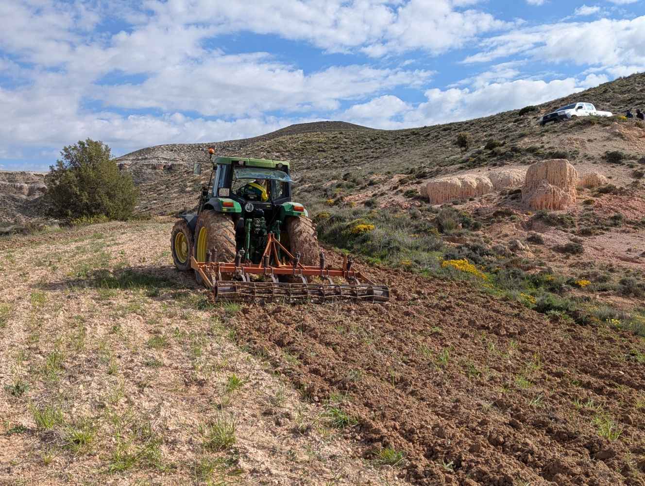 ASFOSO comienza repoblación forestal con herbáceas locales en proyecto FLoRE