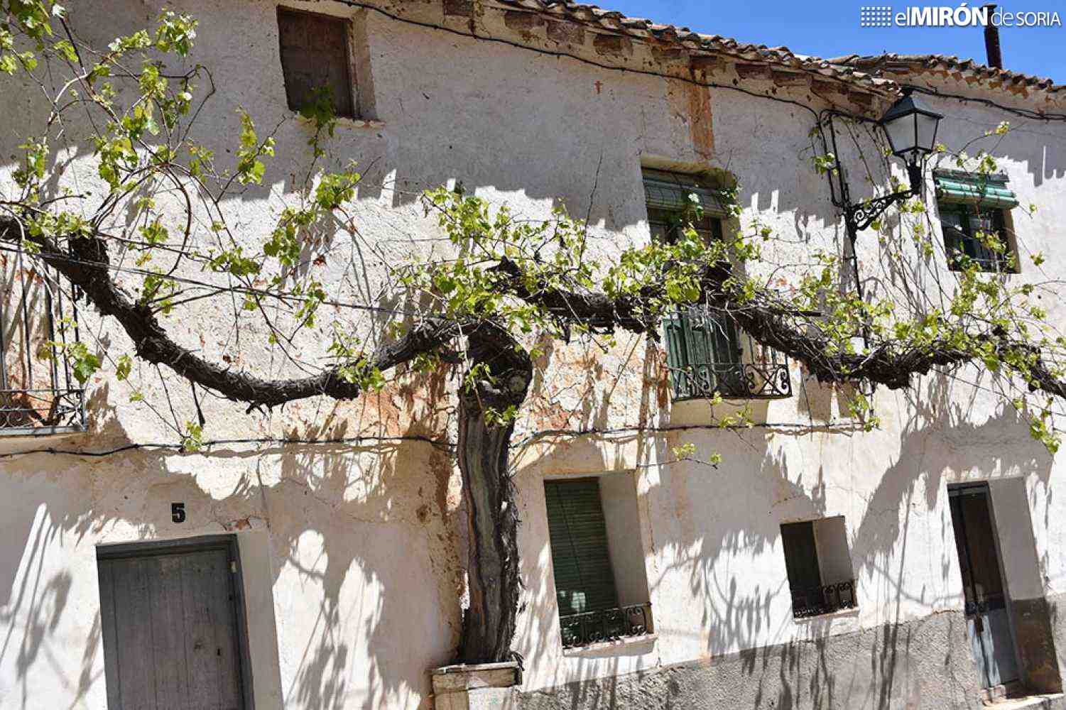 Berlanga de Duero convoca LXI Certamen de Fotografía 
