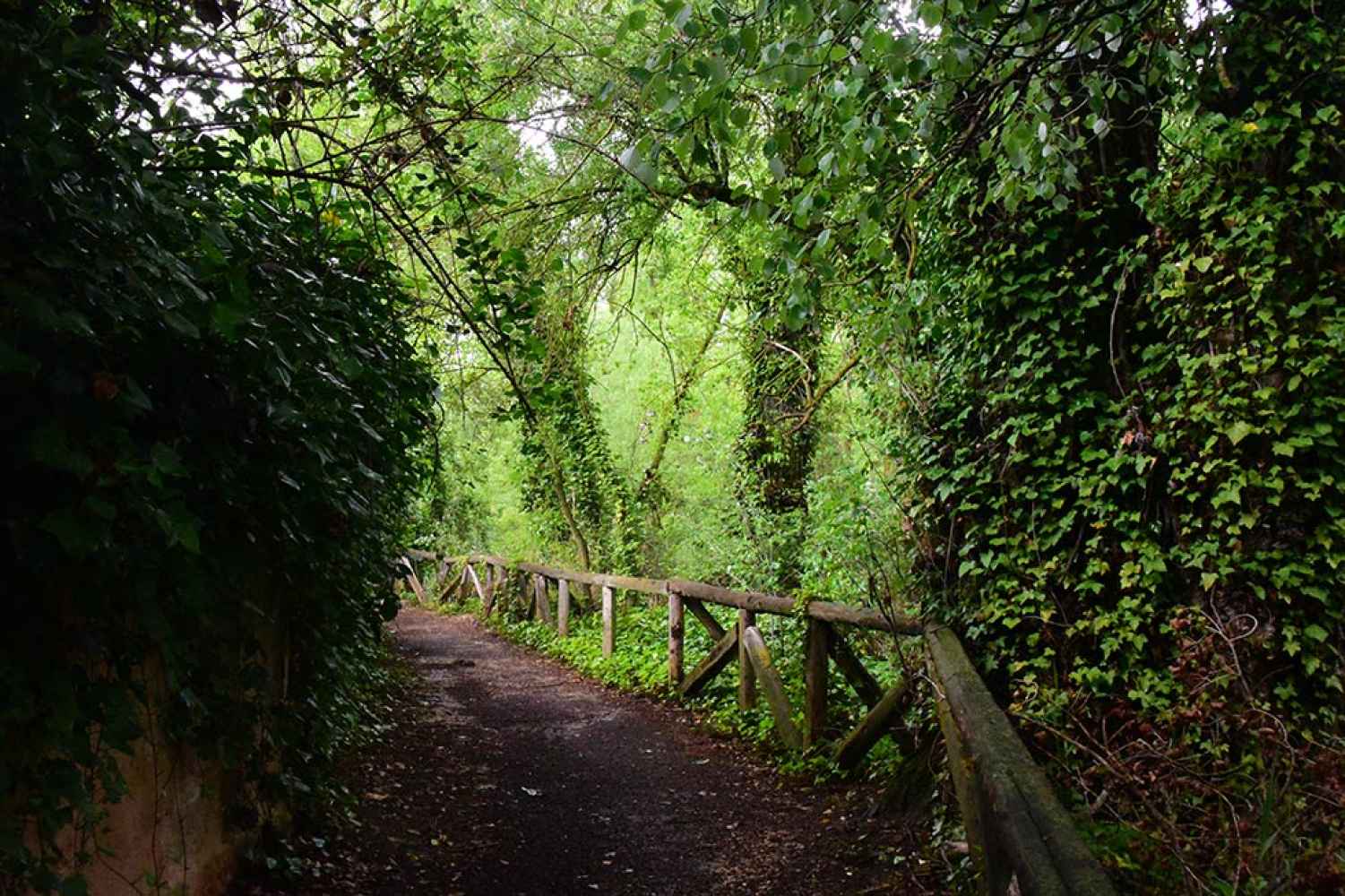 Paseo junto al Duero en "El Sotillo", en San Esteban de Gormaz