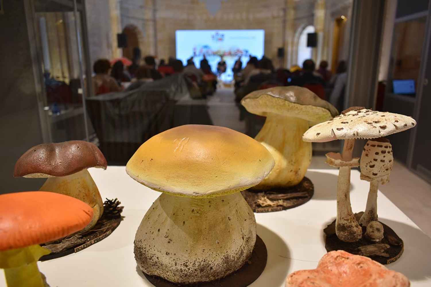 Mycotour implusa debate internacional sobre micoturismo sostenible y regenerativo del futuro