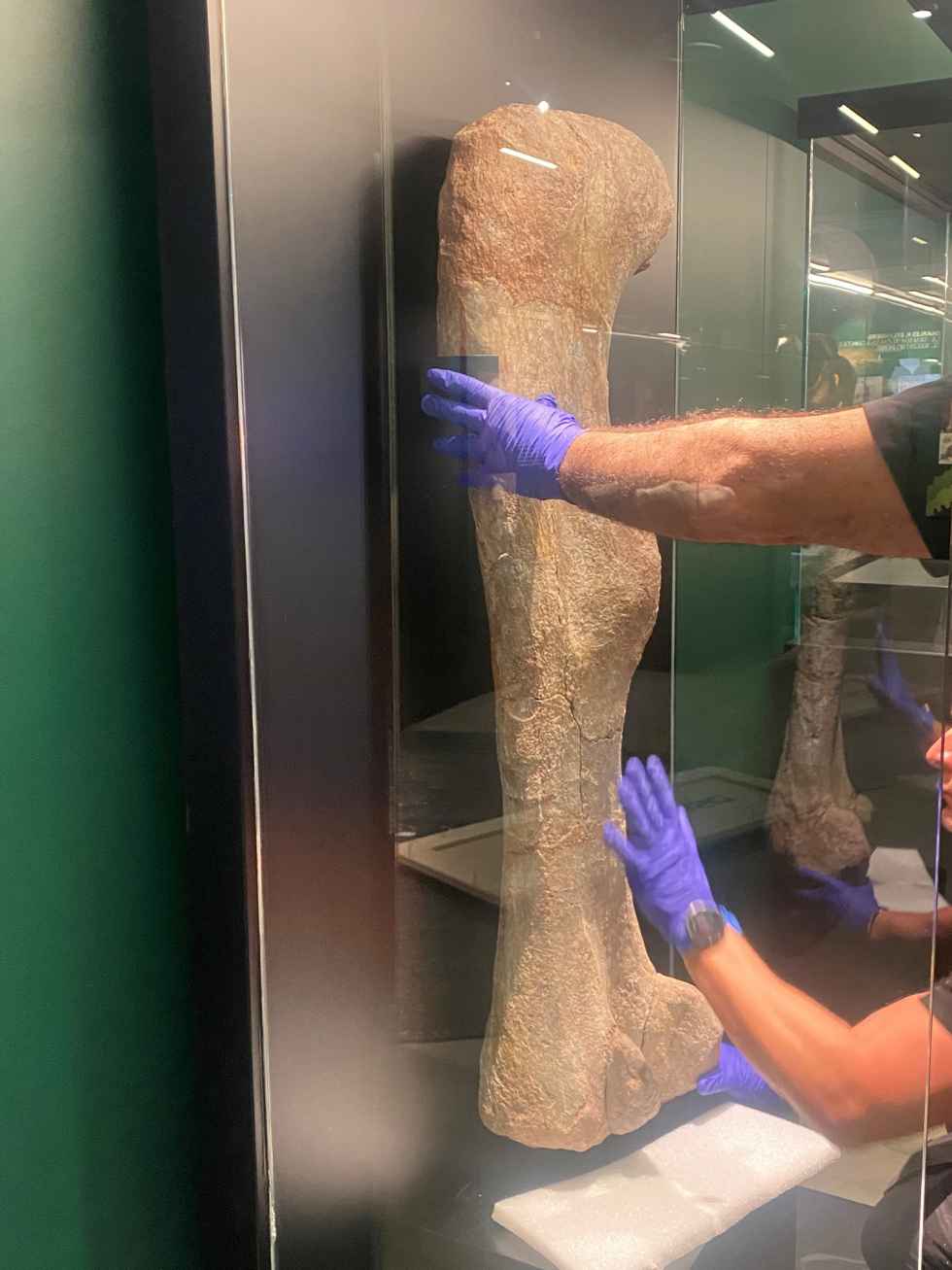 Piezas del Museo Numantino, en grandes exposiciones temporales en España