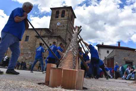 Cabrejas del Pinar celebra su pingada del Mayo 2025