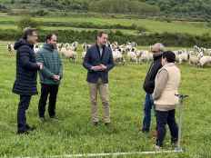 La Junta concede 28,5 millones a 1.300 agricultores y ganaderos en intervenciones agroambientales