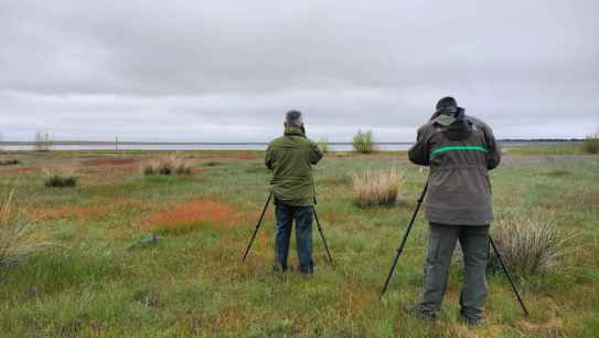 La Junta se suma al Día Mundial de Aves Migratorias con rutas, talleres y anillamiento científico La Junta se suma al Día Mundial de Aves Migratorias con rutas, talleres y anillamiento científico
