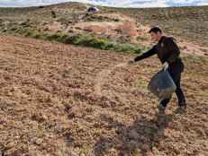 ASFOSO comienza repoblación forestal con herbáceas locales en proyecto FLoRE