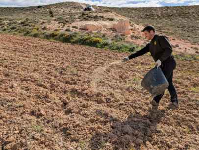 ASFOSO comienza repoblación forestal con herbáceas locales en proyecto FLoRE ASFOSO comienza repoblación forestal con herbáceas locales en proyecto FLoRE