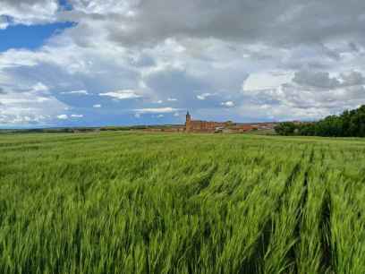 Asaja pide al patrón San Isidro que "eche el freno" a nubes para completar siembras de primavera Asaja pide al patrón San Isidro que "eche el freno" a nubes para completar siembras de primavera