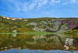 Las Cortes regionales respaldan avanzar en protección de Sierra de Cebollera en Soria