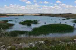 El embalse de Monteagudo, al 85 por ciento de su capacidad