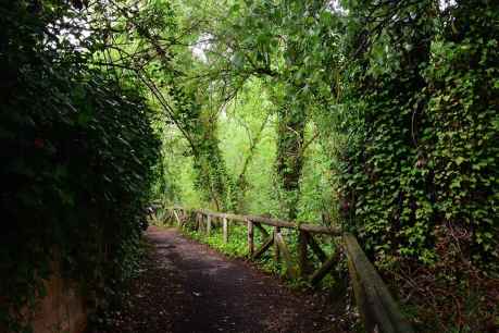 Paseo junto al Duero en 