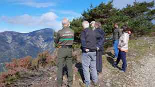 Castilla y León revalida certificación de calidad FSC por gestión sostenible y responsable de sus bosques 