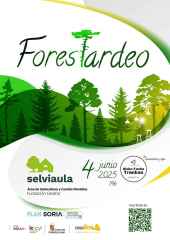 El ForesTardeo en Soria: un afterwork para aprender sobre temas forestales en un ambiente informal