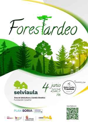 El ForesTardeo en Soria: un afterwork para aprender sobre temas forestales en un ambiente informal
