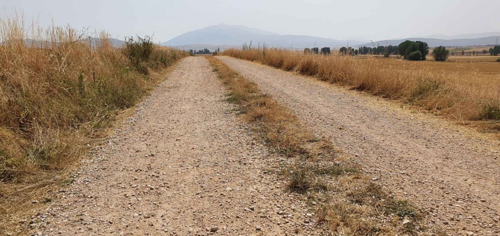 La Diputación destina un millón de euros a la mejora de caminos rurales 
