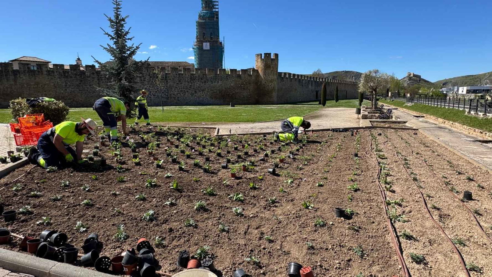El Burgo atiende 40 hectáreas de zonas verdes en su casco urbano 