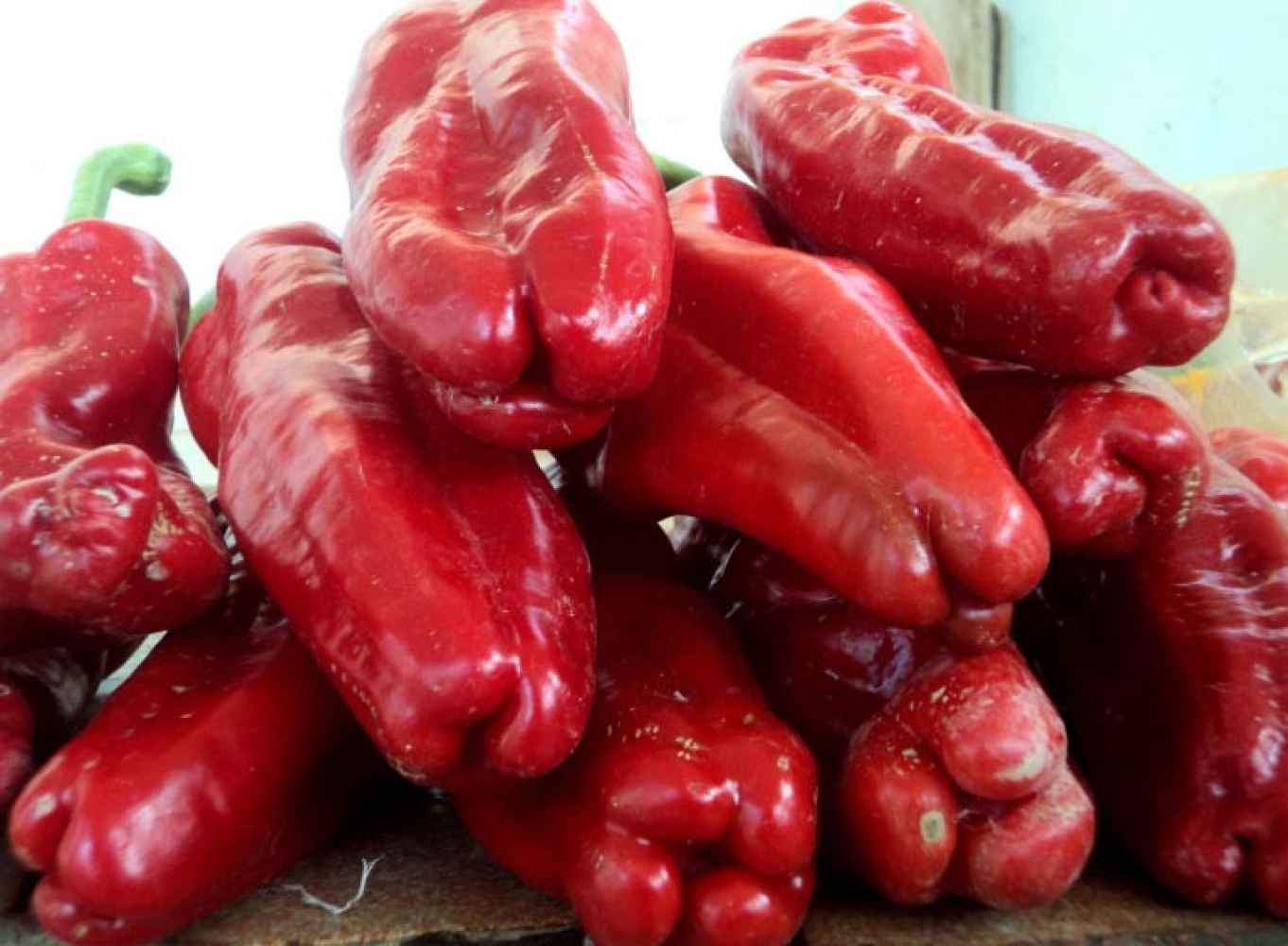 Detenido un grupo criminal dedicado a venta de conservas de la variedad pimientos del cristal 