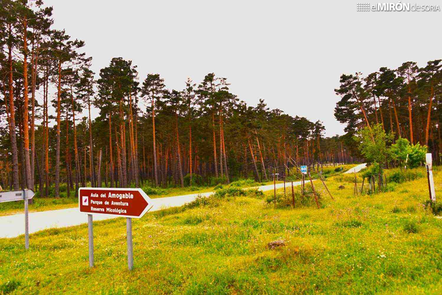 La Junta adjudica la mejora del firme de la pista forestal del 