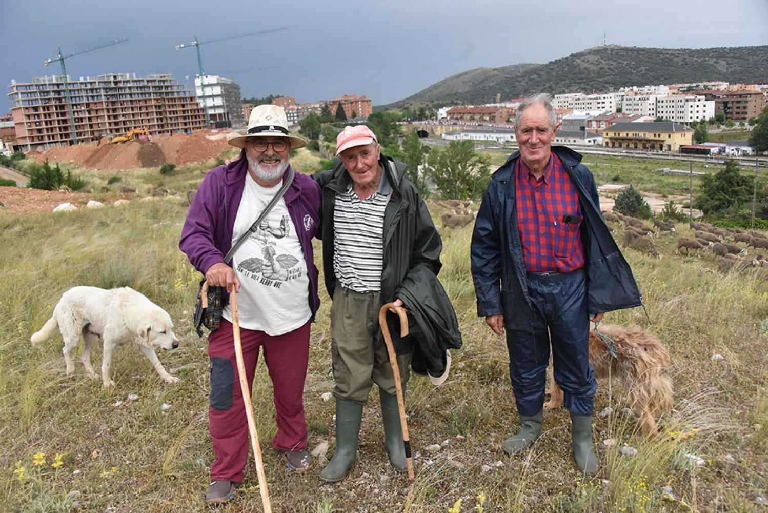 Los hermanos Pérez, de Navabellida, los últimos pastores trashumantes de Soria