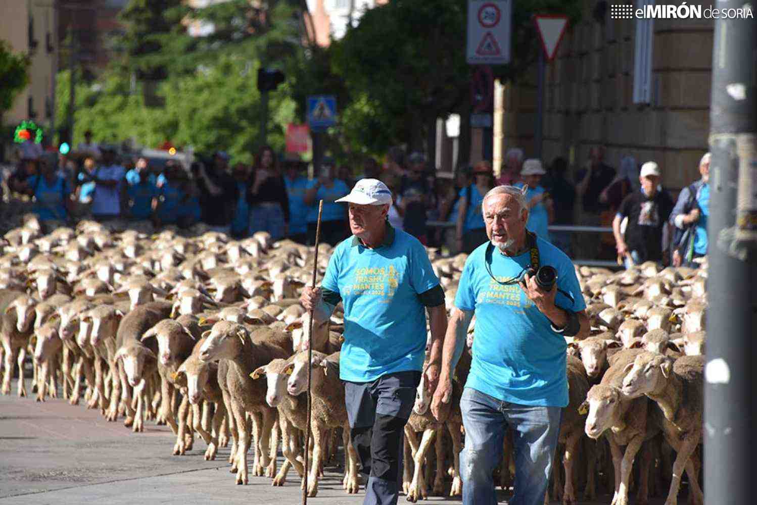 Agenda en Soria: exposiciones, música, La Compra y trashumancia