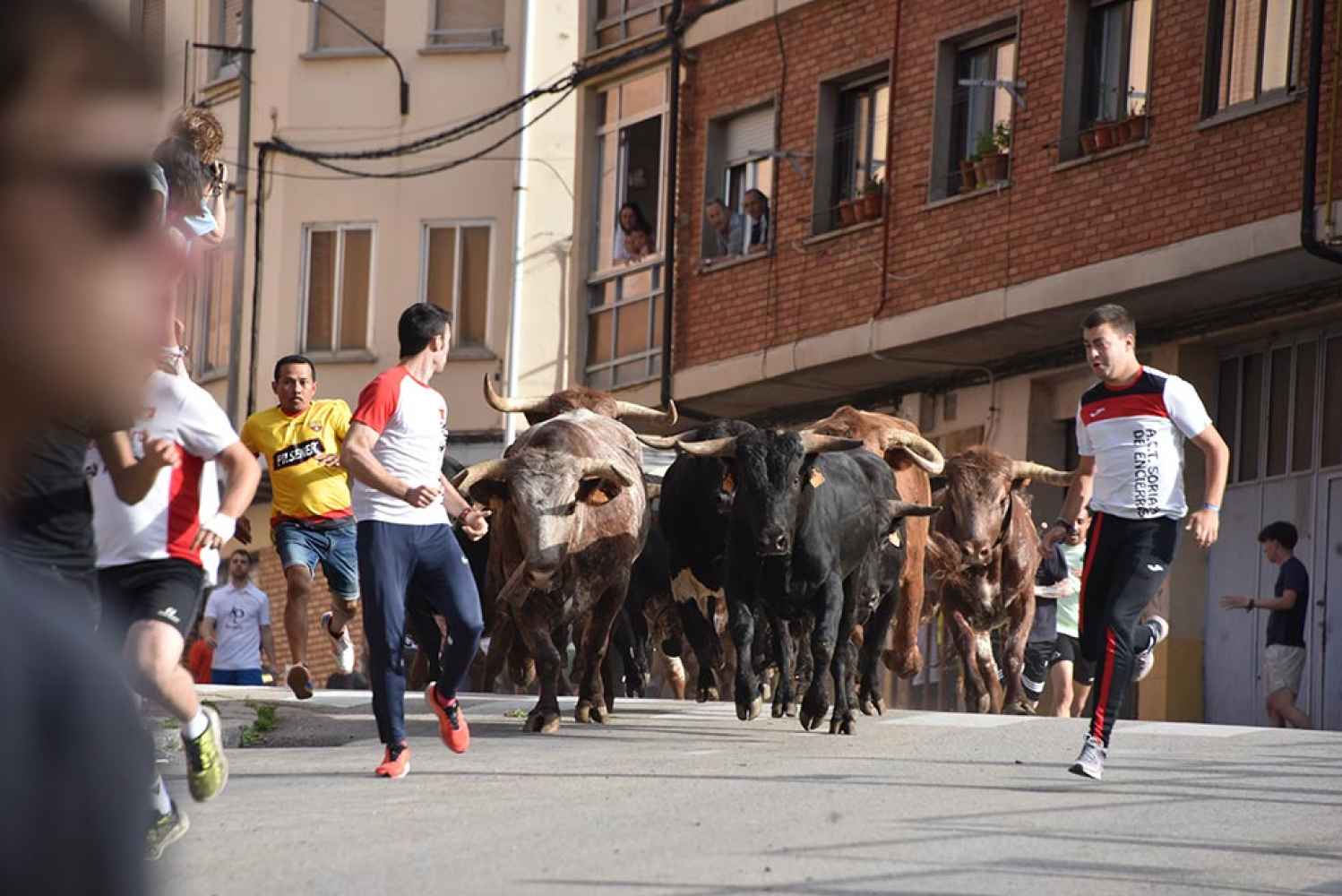 La ACT Soriana de Encierros celebra su décimo aniversario