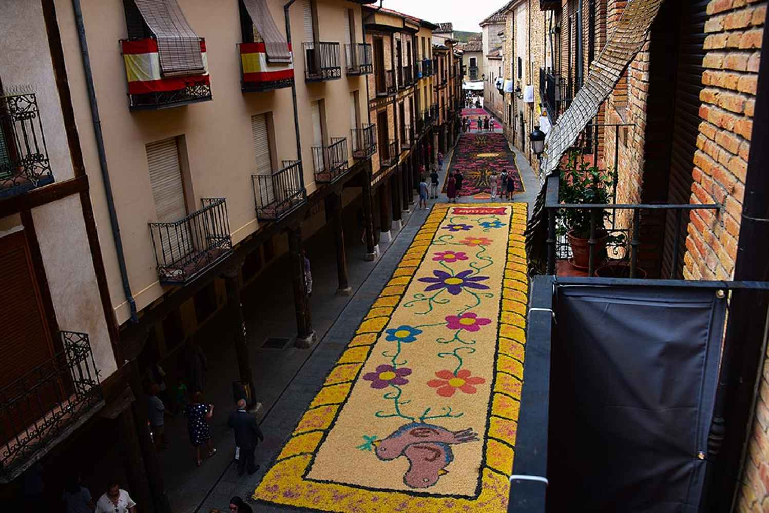 El Burgo de Osma se engalana en la festividad del Corpus Christi, con sus alfombras florales