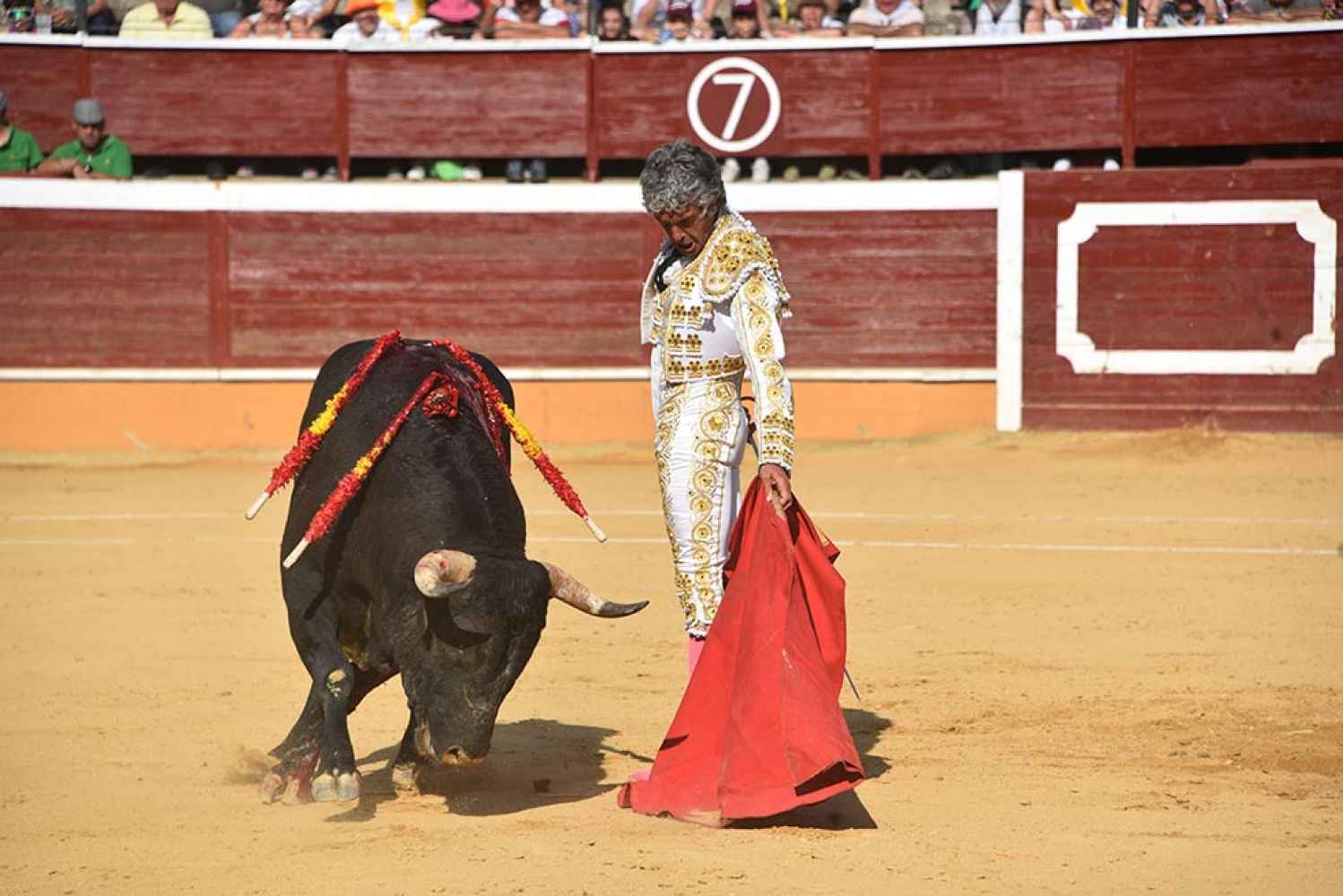 Cuatro vueltas al ruedo y una cogida en corrida de toros de los Agés