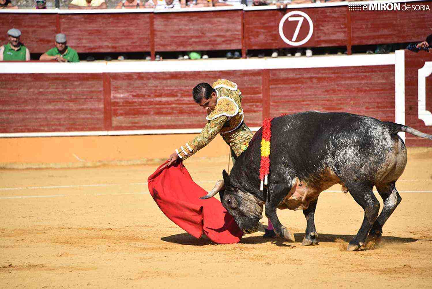 Fundación naturalista denuncia licitación para festejos taurinos en Soria