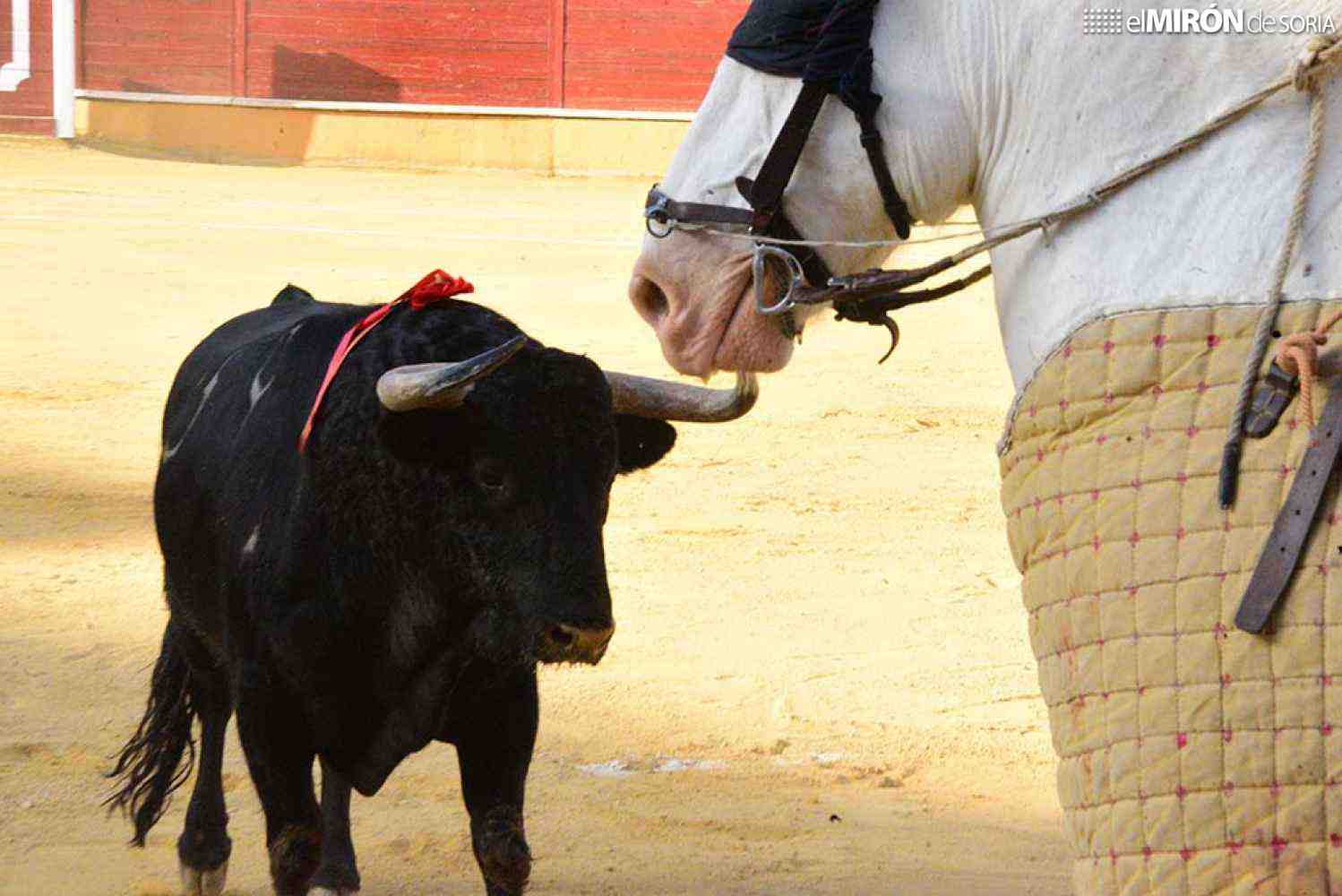 Desierto el trofeo al mejor toro de la feria taurina de San Juan
