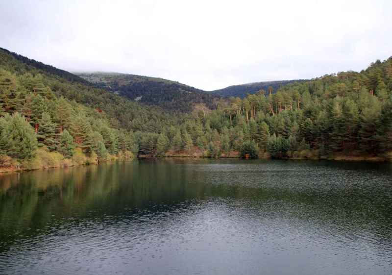 Castilla y León, comunidad con mayor superficie con gestión forestal sostenible certificada