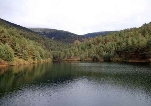 Castilla y León, comunidad con mayor superficie con gestión forestal sostenible certificada