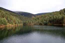 Castilla y León, comunidad con mayor superficie con gestión forestal sostenible certificada