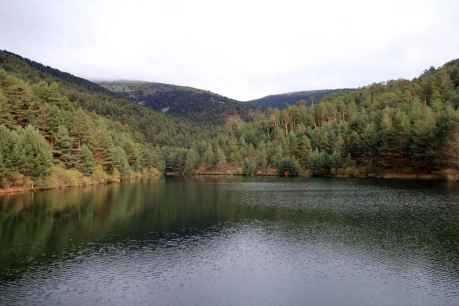 Castilla y León, comunidad con mayor superficie con gestión forestal sostenible certificada