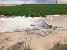 Castilla y León se posiciona como referente nacional en promoción del relevo generacional del sector agrario 