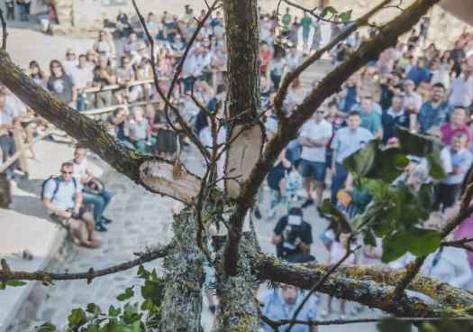 Sarnago anuncia ganadores de II Concurso Literario Abel Hernández