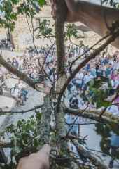 Sarnago anuncia ganadores de II Concurso Literario Abel Hernández