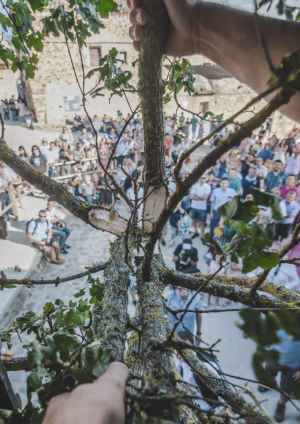 Sarnago anuncia ganadores de II Concurso Literario Abel Hernández Sarnago anuncia ganadores de II Concurso Literario Abel Hernández