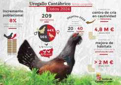 La población de urogallo cantábrico asciende a 209 ejemplares en 2024