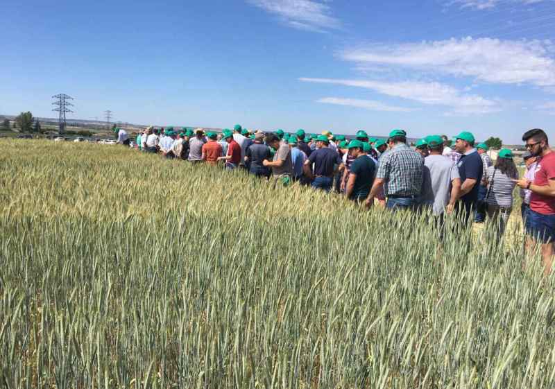 ASAJA Soria ultima preparativos de su oferta de experimentación en campos de ensayo de Almazán 