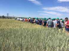 ASAJA Soria ultima preparativos de su oferta de experimentación en campos de ensayo de Almazán 