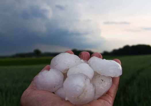 Las 25 obras que recibirán subvención para paliar daños por granizo e inundaciones en junio de 2025