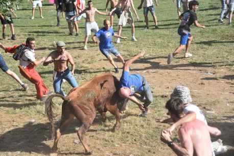 La Compra del Toro, fiesta divertida y accidentada 