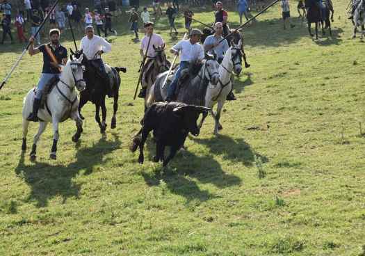 Encierro de 