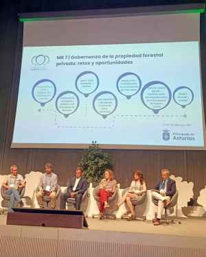 ASFOSO lleva al IX Congreso Forestal Español su experiencia con Montes de Socios ASFOSO lleva al IX Congreso Forestal Español su experiencia con Montes de Socios