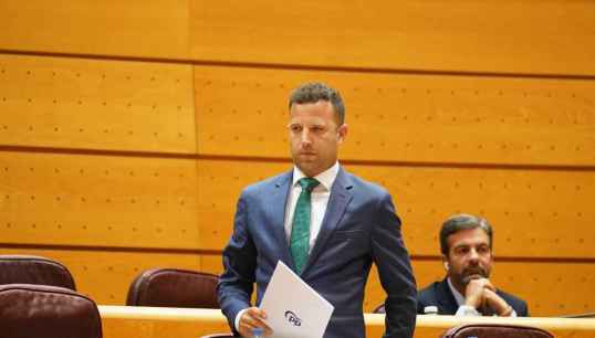 El PP presenta moción en Senado para que ministra Saiz explique ayudas de funcionamiento