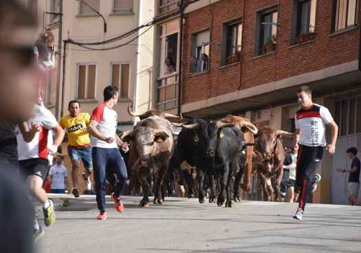 La ACT Soriana de Encierros celebra su décimo aniversario