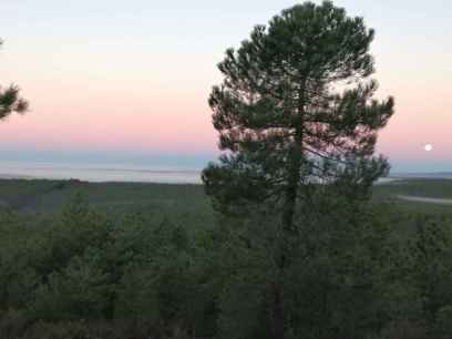 RECONECTA impulsa gestión forestal sostenible en grandes pulmones rurales de España RECONECTA impulsa gestión forestal sostenible en grandes pulmones rurales de España