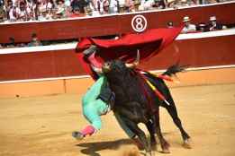 Cuatro vueltas al ruedo y una cogida en la segunda de la feria taurina de San Juan
