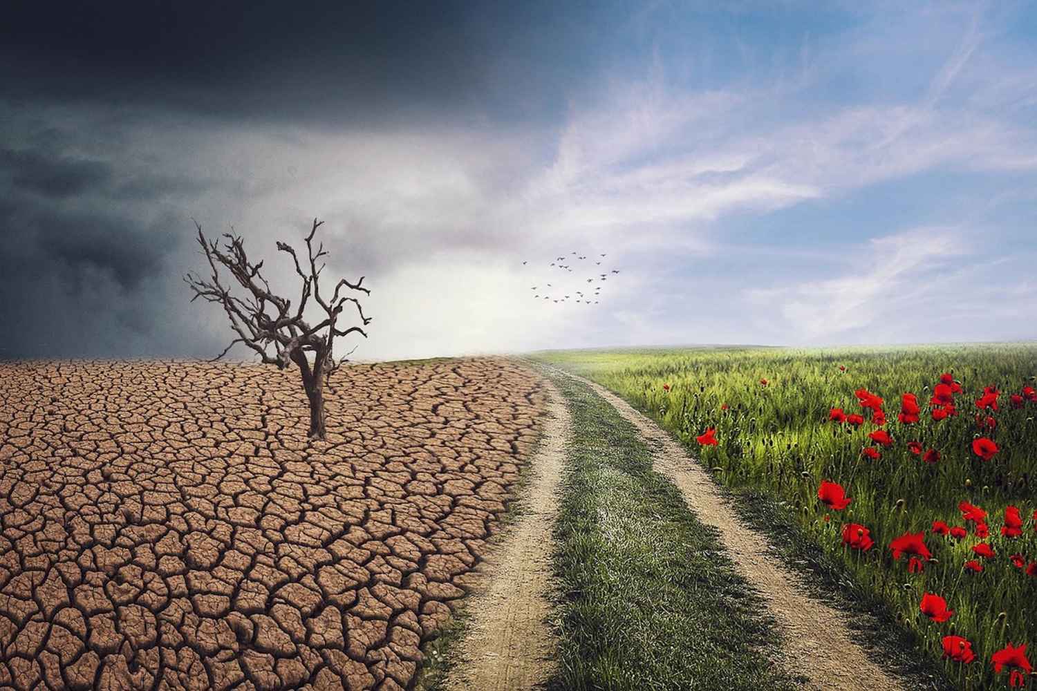 Amnistia Internacional expone "Justicia Climática" en la Casa del Parque de la Fuentona Amnistia Internacional expone "Justicia Climática" en la Casa del Parque de la Fuentona
